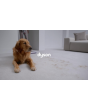 Dyson V15-2024 Cordless Vacuum - 60 Minutes Run Time - Yellow/Nickel