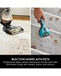 Shark CarpetXpert HairPro Pet Deep Carpet Cleaner with Built-In StainStriker - Charcoal & Fuchsia