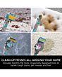 Shark CarpetXpert HairPro Pet Deep Carpet Cleaner with Built-In StainStriker - Charcoal & Fuchsia