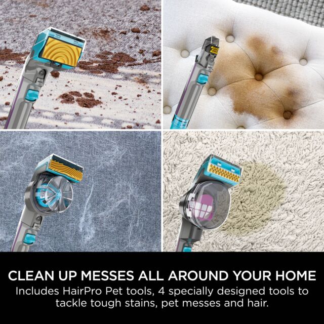 Shark CarpetXpert HairPro Pet Deep Carpet Cleaner with Built-In StainStriker - Charcoal & Fuchsia